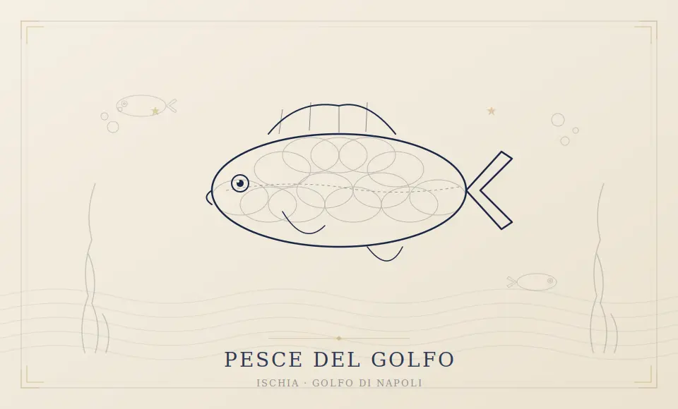 Pesce fresco del Golfo di Napoli e di Ischia, materia prima del ristorante Neptunus a Forio